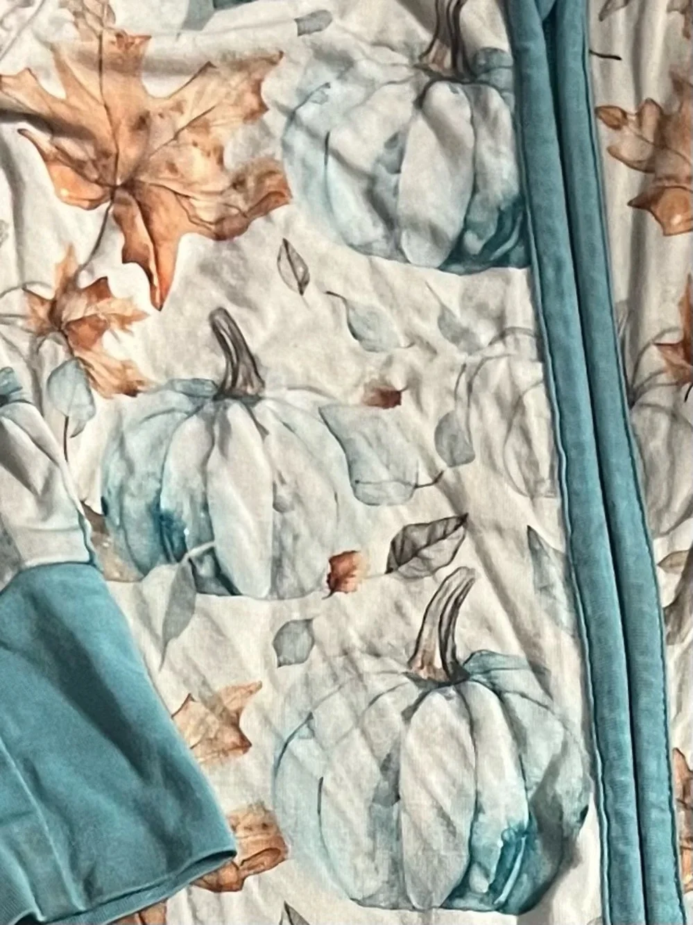 Birdie Bean Baby Boy 6-12 Months Pumpkin Fall Leaves Bamboo Zip Footed Pajamas